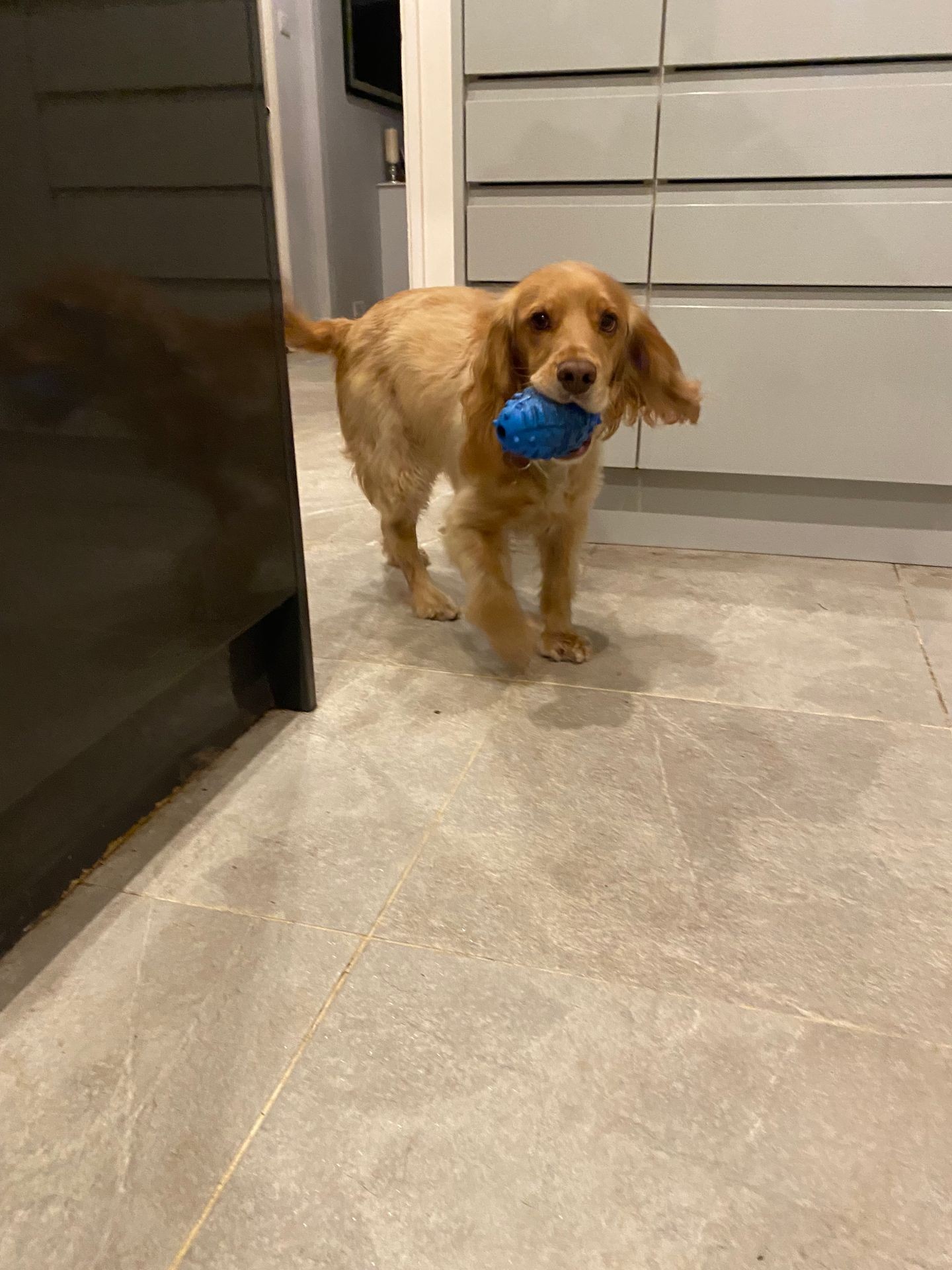 Day care with Grab the Lead